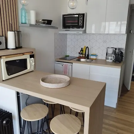 Apartment Les Palmiers 4 Personnes 50m De La Parking