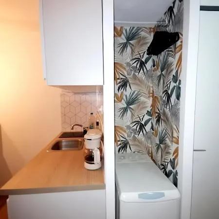 Les Palmiers 4 Personnes 50m De La Parking Appartement *