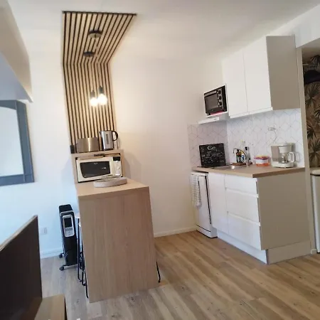 Appartement Les Palmiers 4 Personnes 50m De La Parking *